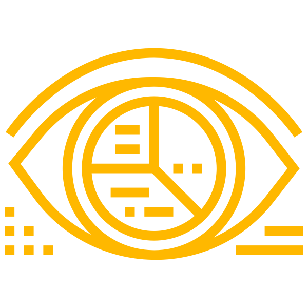 vision
